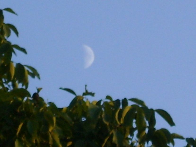 Luna in crestere in Sagetator - Luna - Soarele si norii - 2