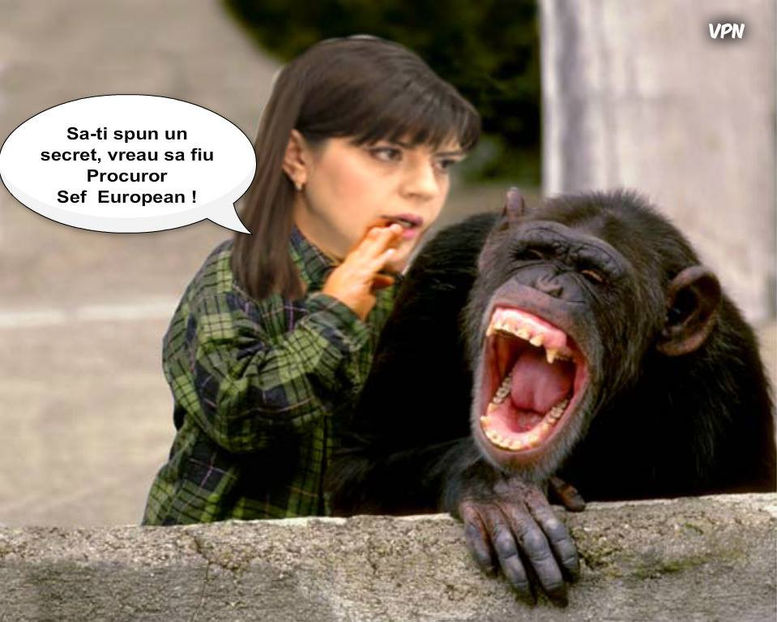  - Poze haioase pamflet