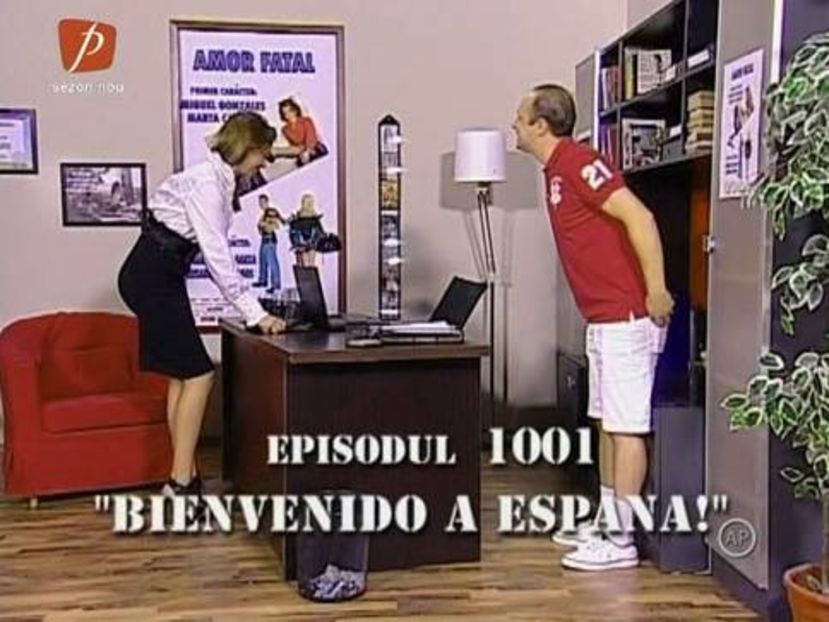 Traznitii - Traznitii 2003-Prezent