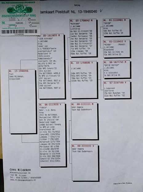 received_2368128913200443 - Vînzare 1