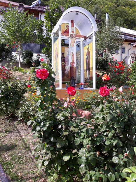  - Flori la mânăstirea Nămăiești