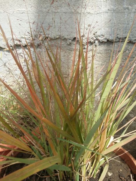  - curtea cu toate cele 2019