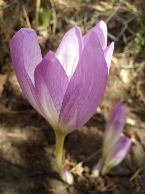  - curtea cu toate cele 2019