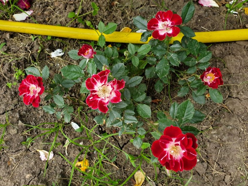  - the wonderful news