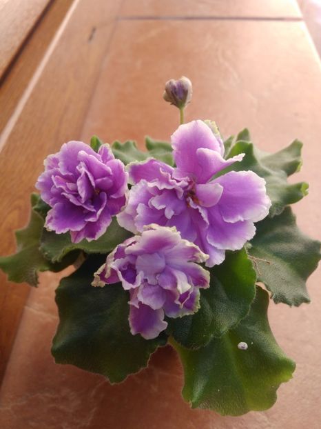 11 Septembrie 2019 - Midnight Cloud