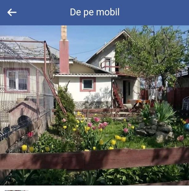  - Gradina cu flori