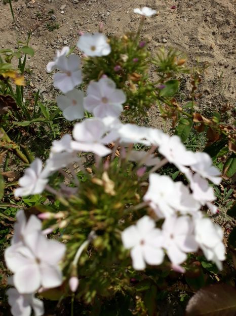  - Septembrie2019