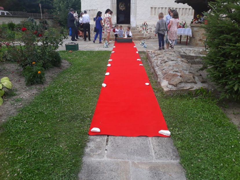  - Sectiunea 1C-Porumbei albi pentru evenimente