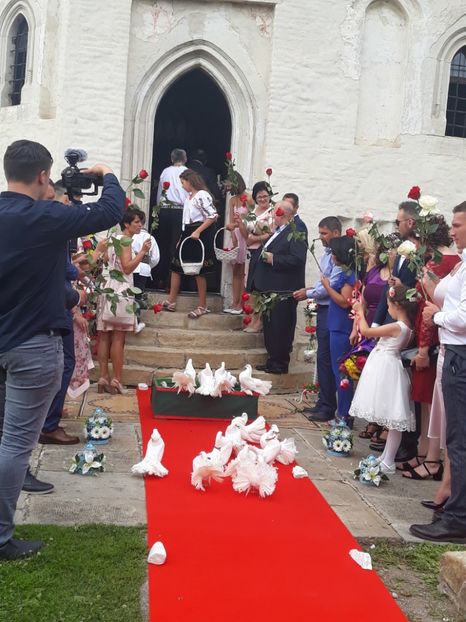  - Sectiunea 1C-Porumbei albi pentru evenimente