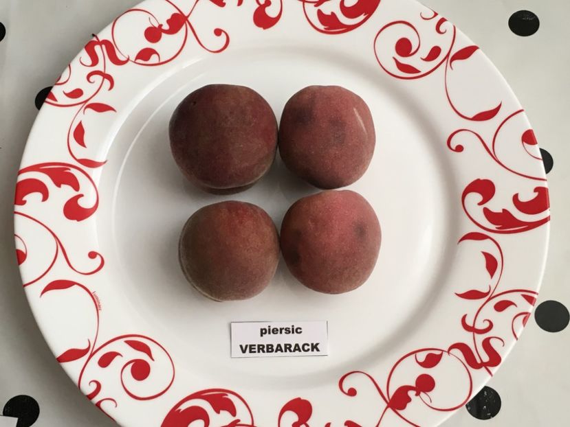 14 Sept 2019 - piersic RUBINO VERBARACK - rosu