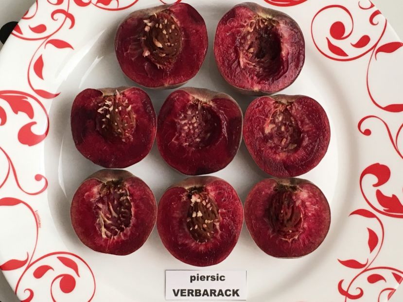  - piersic RUBINO VERBARACK - rosu