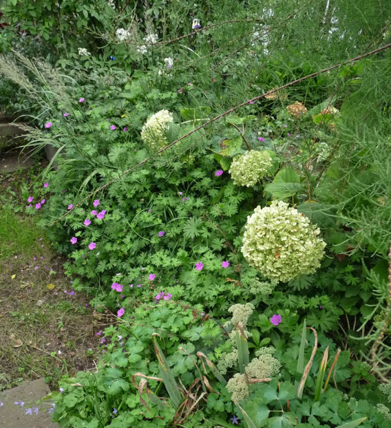  - 2019 - 03 - Toamna