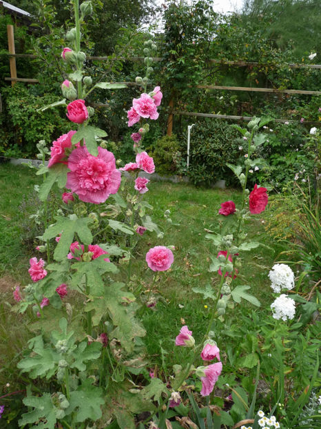  - 2019 - 03 - Toamna