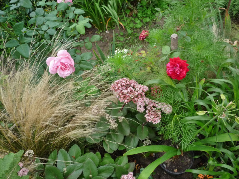  - 2019 - 03 - Toamna