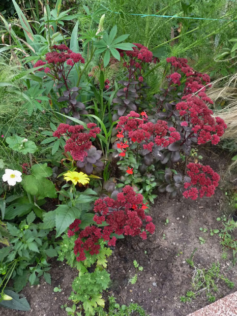  - 2019 - 03 - Toamna