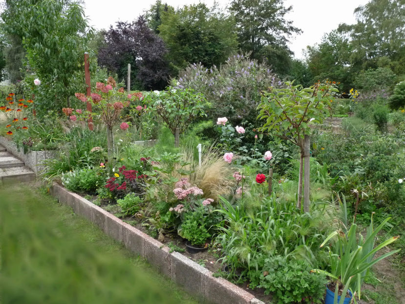  - 2019 - 03 - Toamna