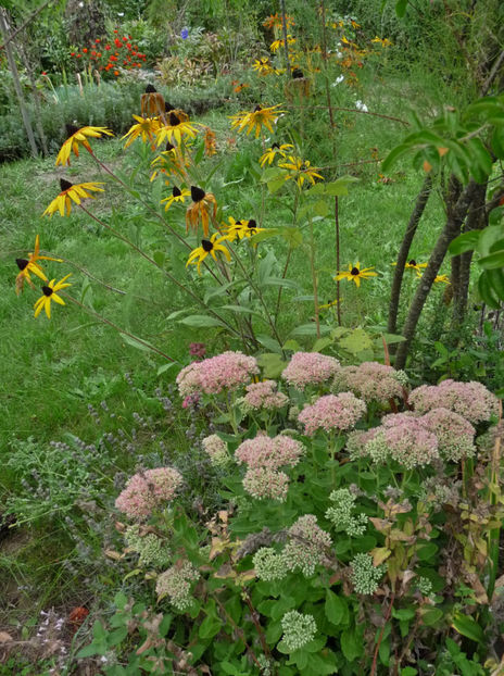  - 2019 - 03 - Toamna