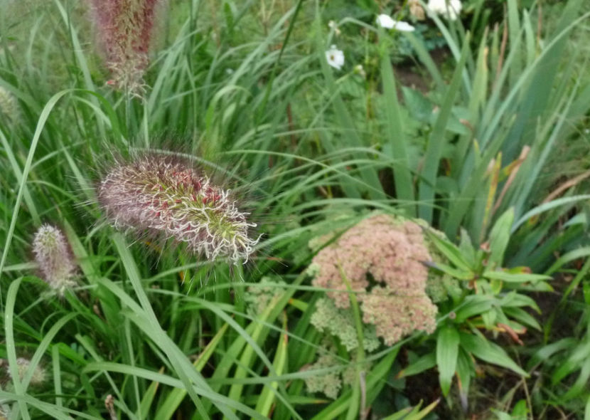  - 2019 - 03 - Toamna