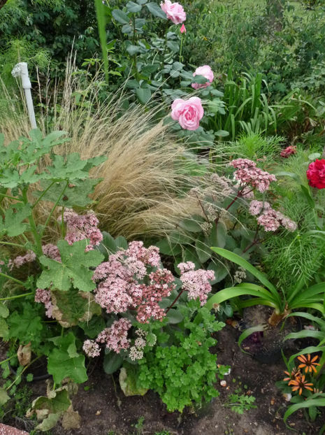  - 2019 - 03 - Toamna