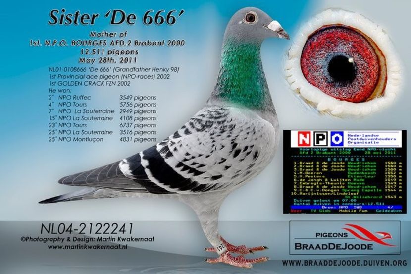  - 13 septembrie-intarire matca 2019