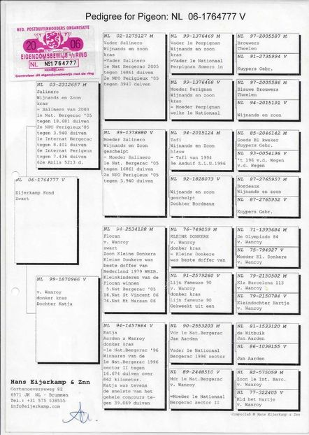 NL-06-1764777 - 13 septembrie-intarire matca 2019