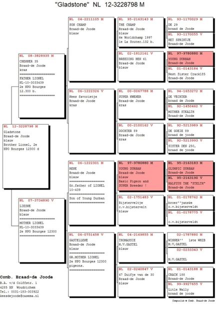 NL12-3228798_ped - 13 septembrie-intarire matca 2019