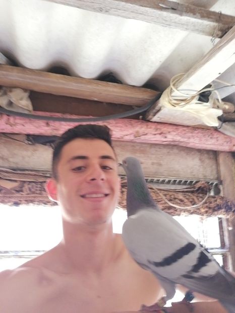  - 2019-Porumbei zburatori-matca