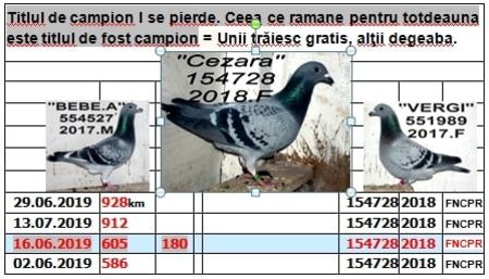 2018.154728=.2019.an CEZARAAA+ - TOP CLASARI 2019