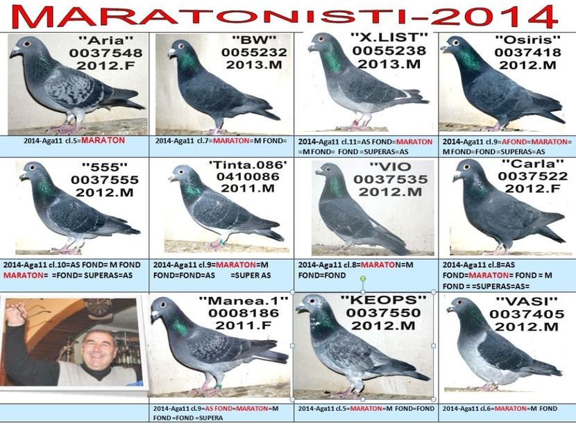 MA 2014= - TOP CLASARI 2019