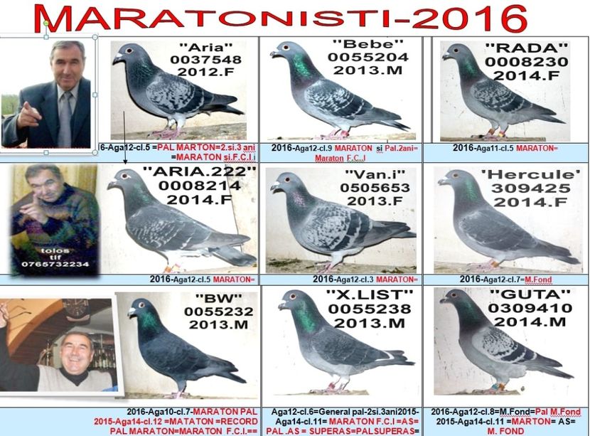 MA 2016 = - TOP CLASARI 2019