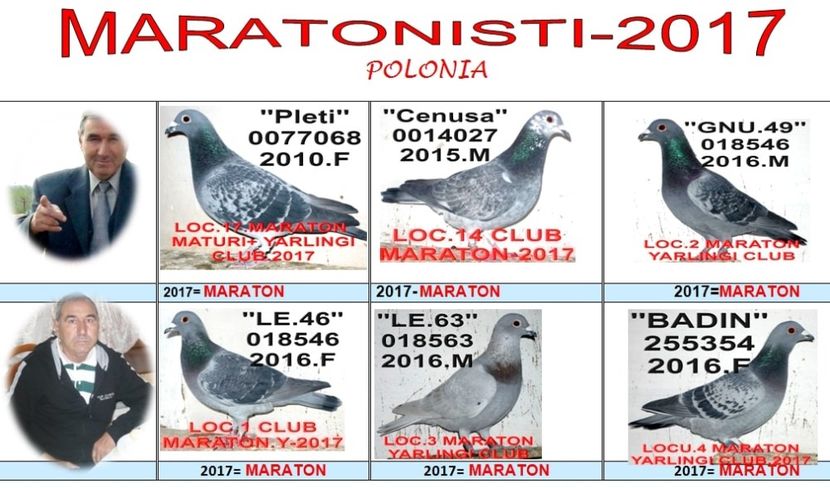 MA 2017= - TOP CLASARI 2019
