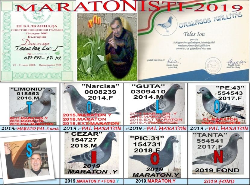 MAR 2019 - TOP CLASARI 2019