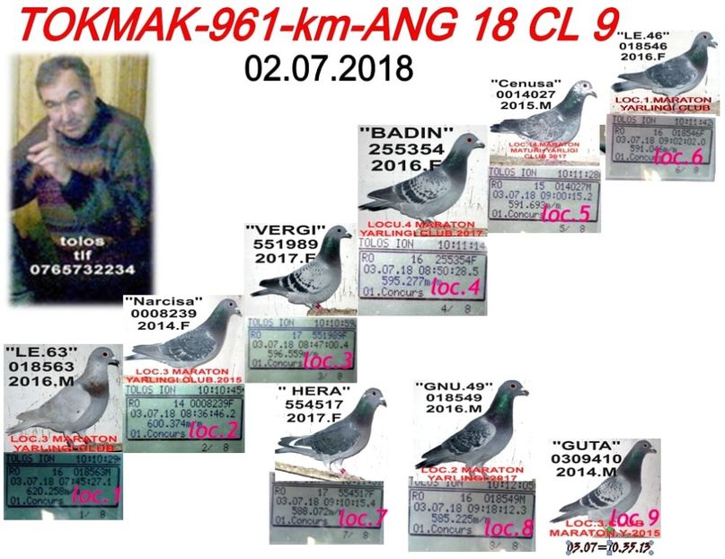 z.2018 TOKMAK - TOP CLASARI 2019