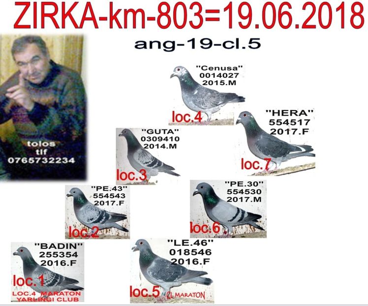 z.2018 ZIRKA - TOP CLASARI 2019