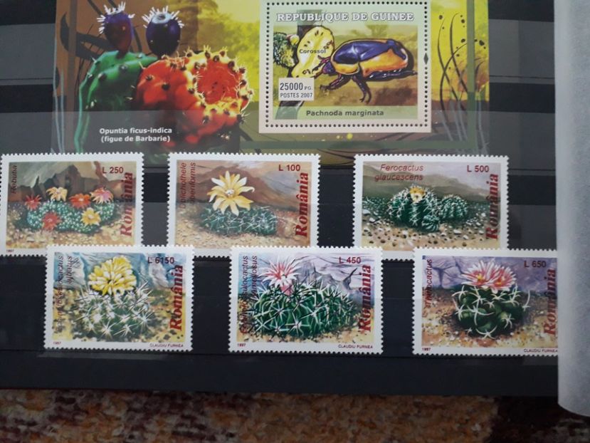  - Filatelie tematica CACTUSI