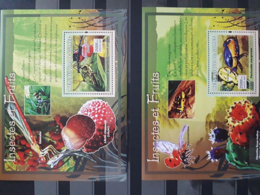  - Filatelie tematica CACTUSI