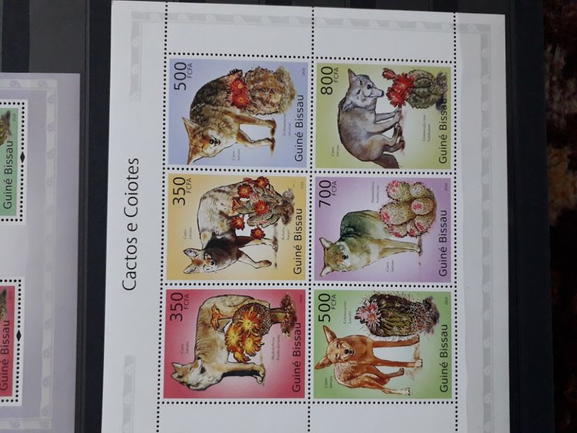  - Filatelie tematica CACTUSI