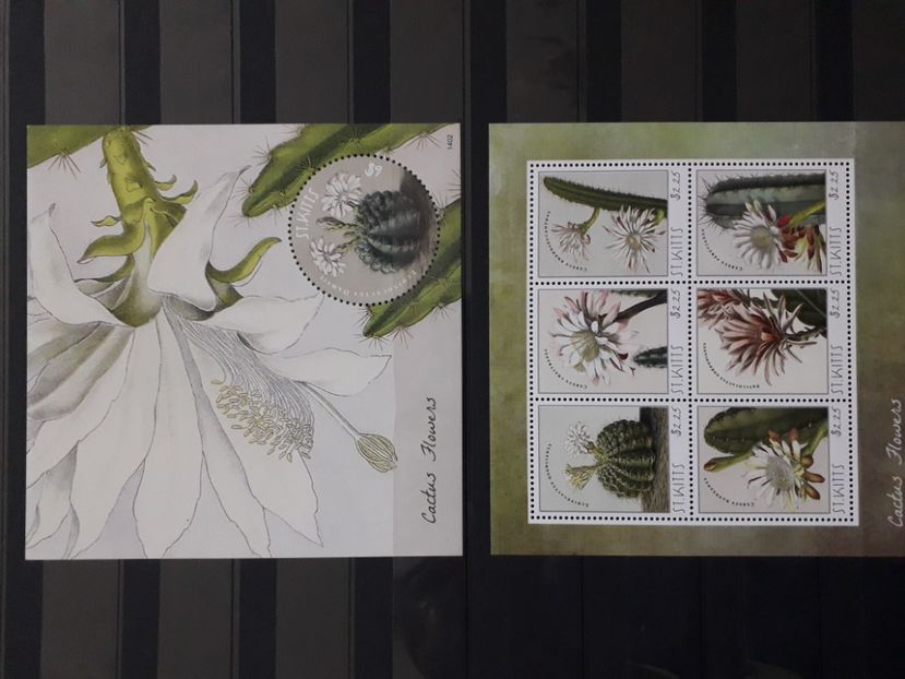  - Filatelie tematica CACTUSI