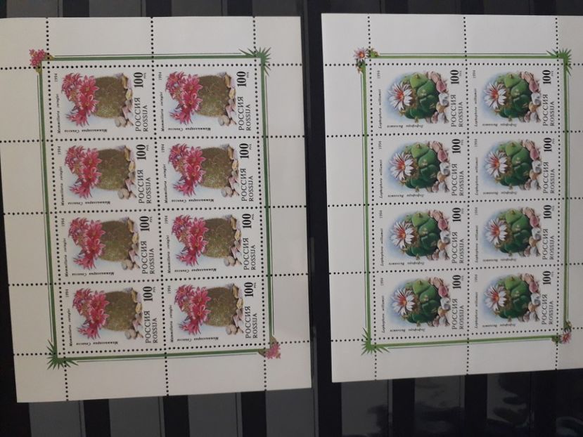  - Filatelie tematica CACTUSI