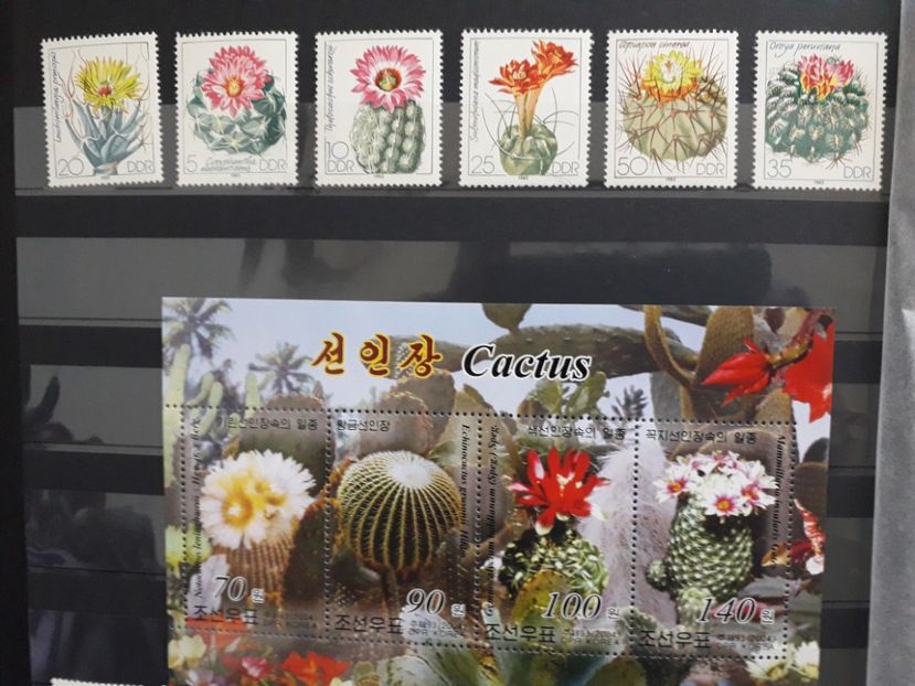  - Filatelie tematica CACTUSI