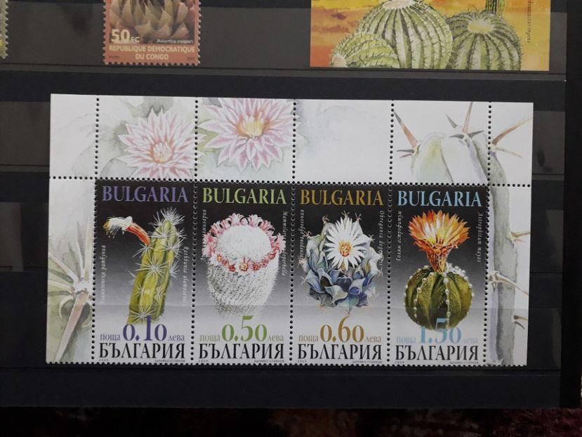  - Filatelie tematica CACTUSI