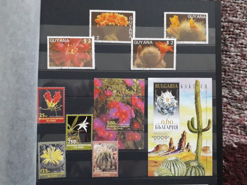  - Filatelie tematica CACTUSI