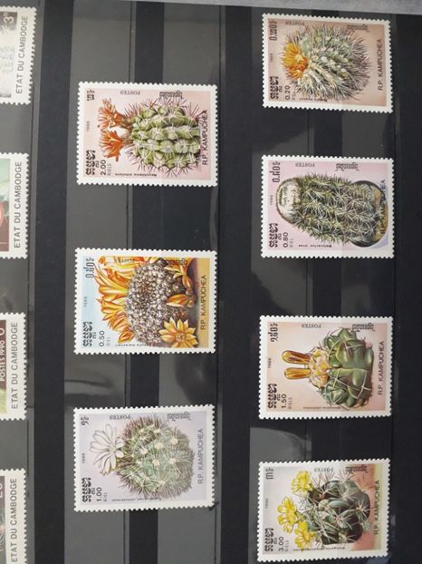  - Filatelie tematica CACTUSI