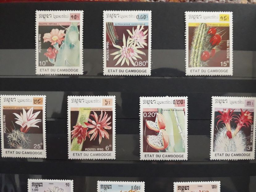  - Filatelie tematica CACTUSI