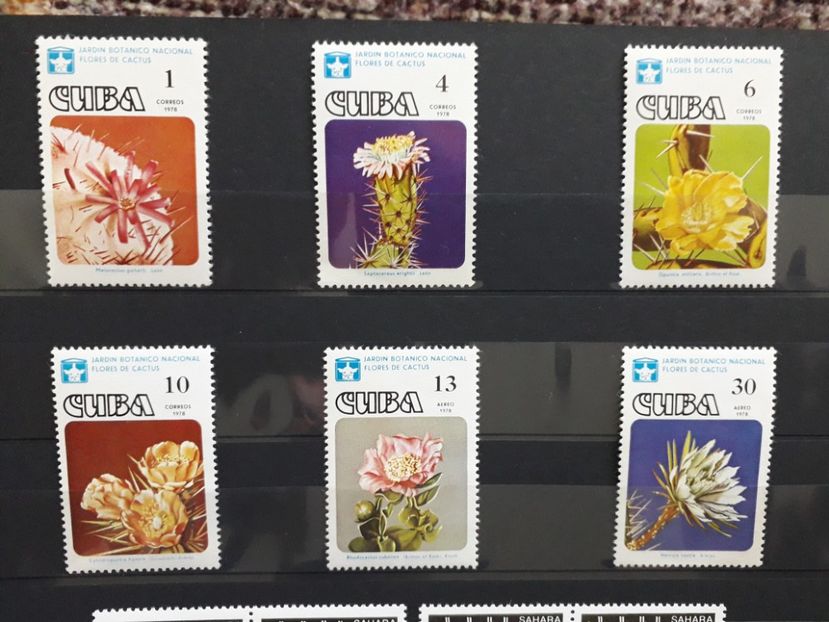  - Filatelie tematica CACTUSI