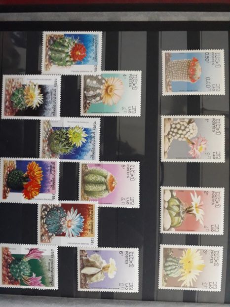  - Filatelie tematica CACTUSI