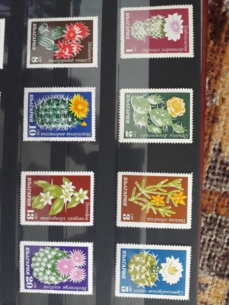  - Filatelie tematica CACTUSI