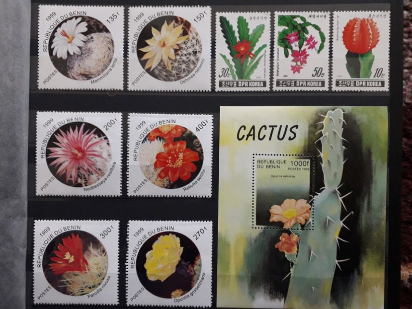  - Filatelie tematica CACTUSI