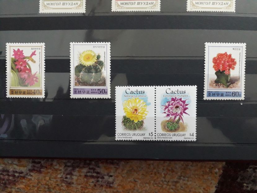  - Filatelie tematica CACTUSI