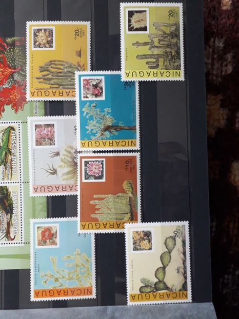  - Filatelie tematica CACTUSI